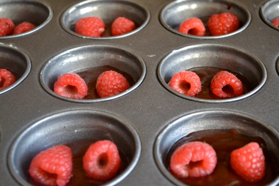Mini Flourless Chocolate Cake with Raspberries