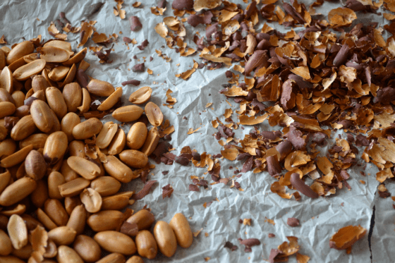 Chocolate peanut butter bites