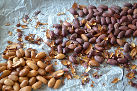 Chocolate peanut butter bites