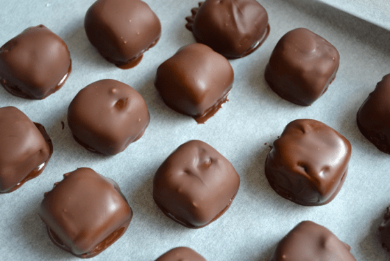 Chocolate peanut butter bites