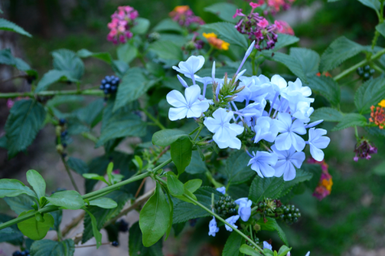 Hurricane Hotel, Tarifa, Spain