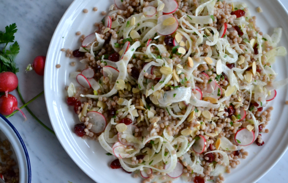 Shaved fennel, radish and israeli couscous salad