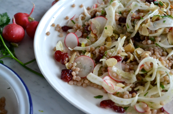 Shaved fennel, radish and israeli couscous salad