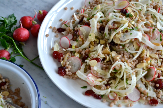 Shaved fennel, radish and israeli couscous salad