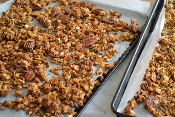 Homemade Healthy Granola